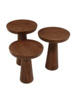 Mushroom Üçlü Zigon Sehpa - Görsel 15