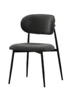 Polo Sandalye, Siyah Metal - Görsel 2